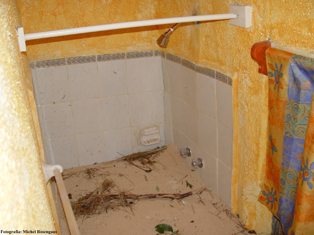 La arena alcanzó tal nivel que estuvo a punto de cubrir los sanitarios