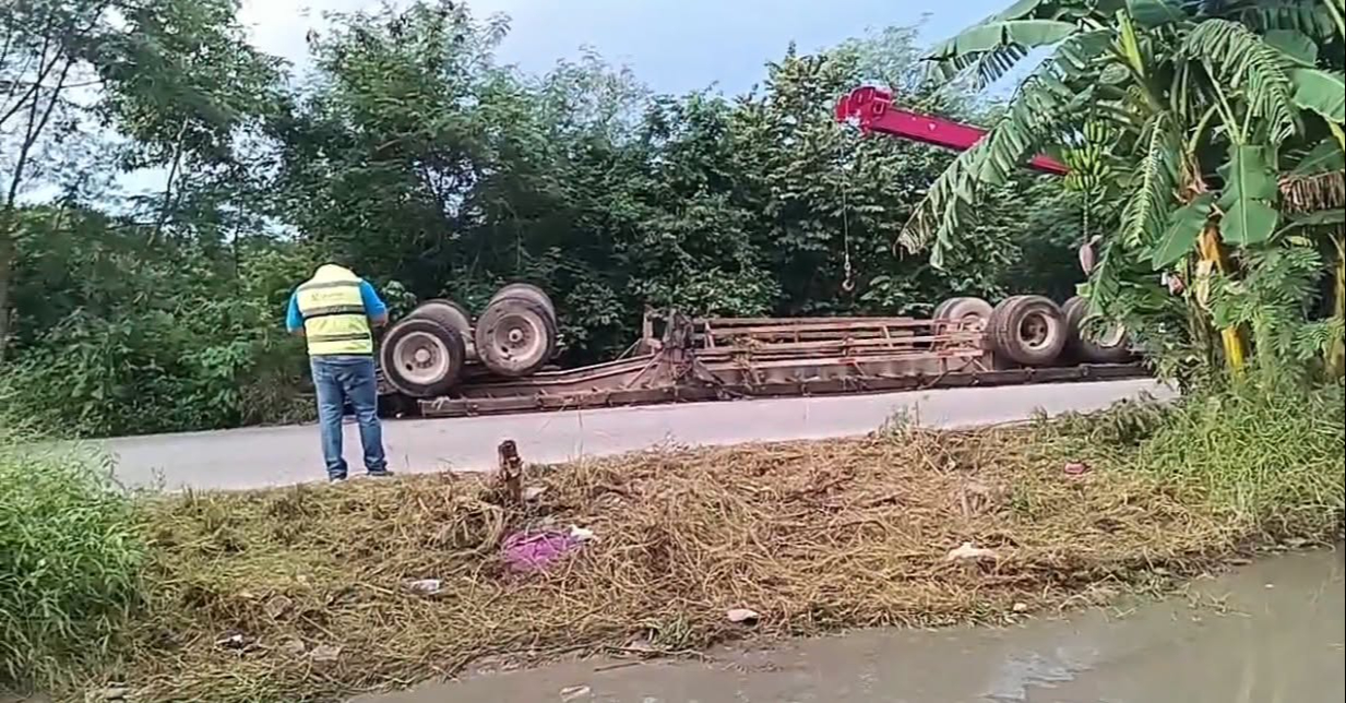 Volcadura de tráiler con pollos moviliza a policías en la carretera Kanasín-San Antonio Tehuitz