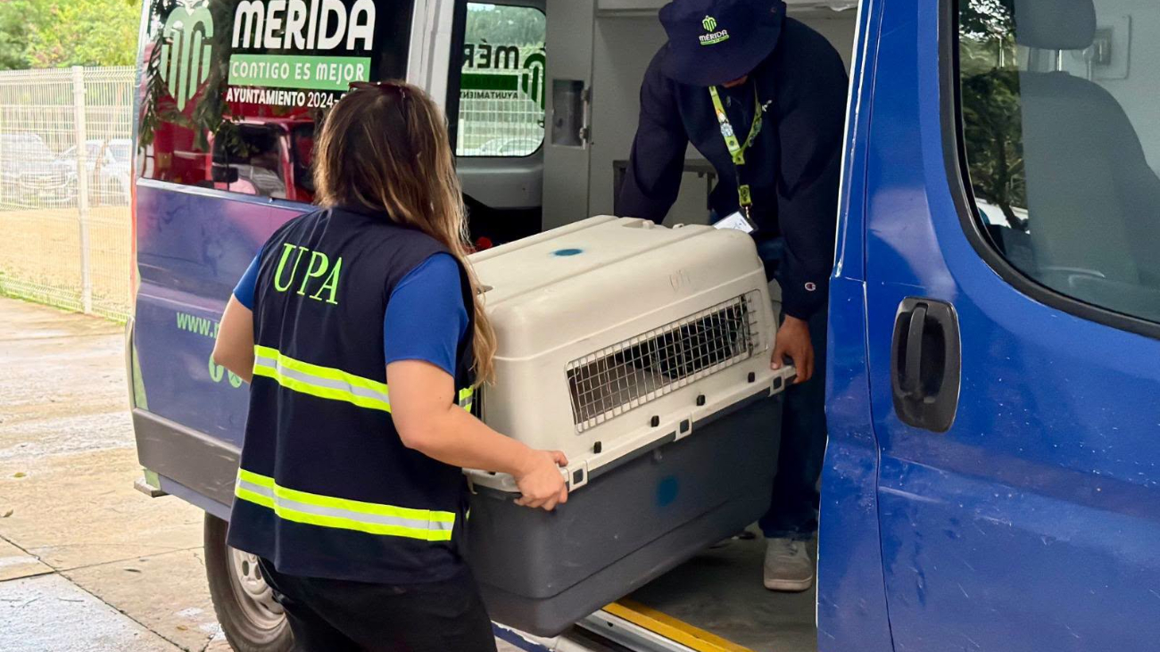 Don Jacinto entró en adopción a Oso y Blanquis