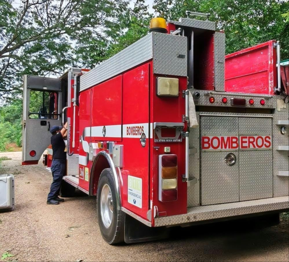 Los bomberos llegaron al lugar de los hechos y rescataron al animal.