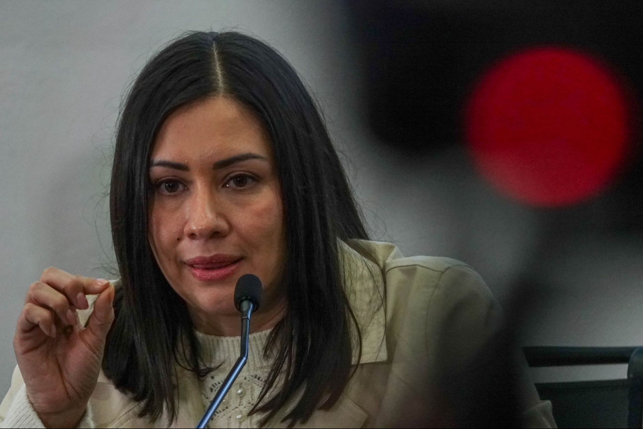 Blanca Cruz,  presidenta interina del INE, planteó recuperar la colegialidad como principio central de la conducción del instituto