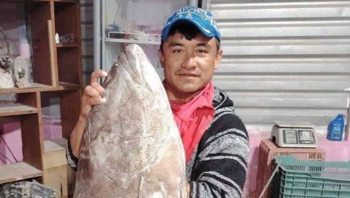 Se cumple una semana de la desaparición de Chikis en Celestún