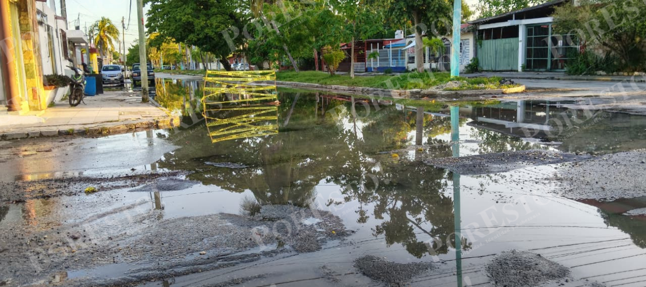 Vecinos y comerciantes reportan malos olores y acumulación de aguas residuales