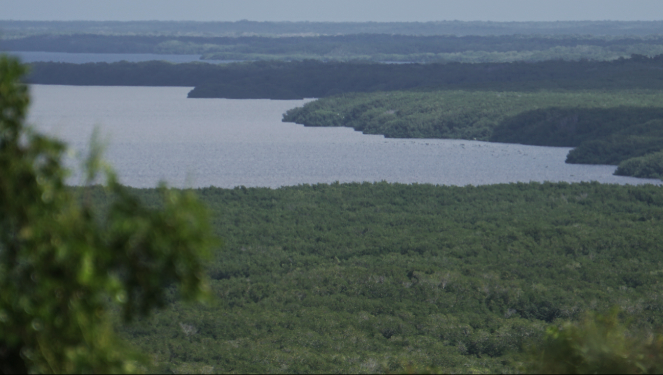 A pesar del impacto ecológico en Atasta, Campeche conserva el segundo lugar nacional en superficie de humedales con más de 200,000 hectáreas.