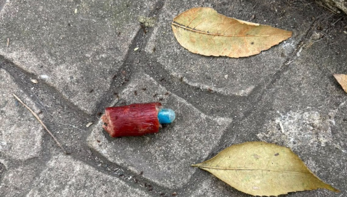 Investiga Fiscalía de la CDMX envenenamiento de perros en el Parque España.