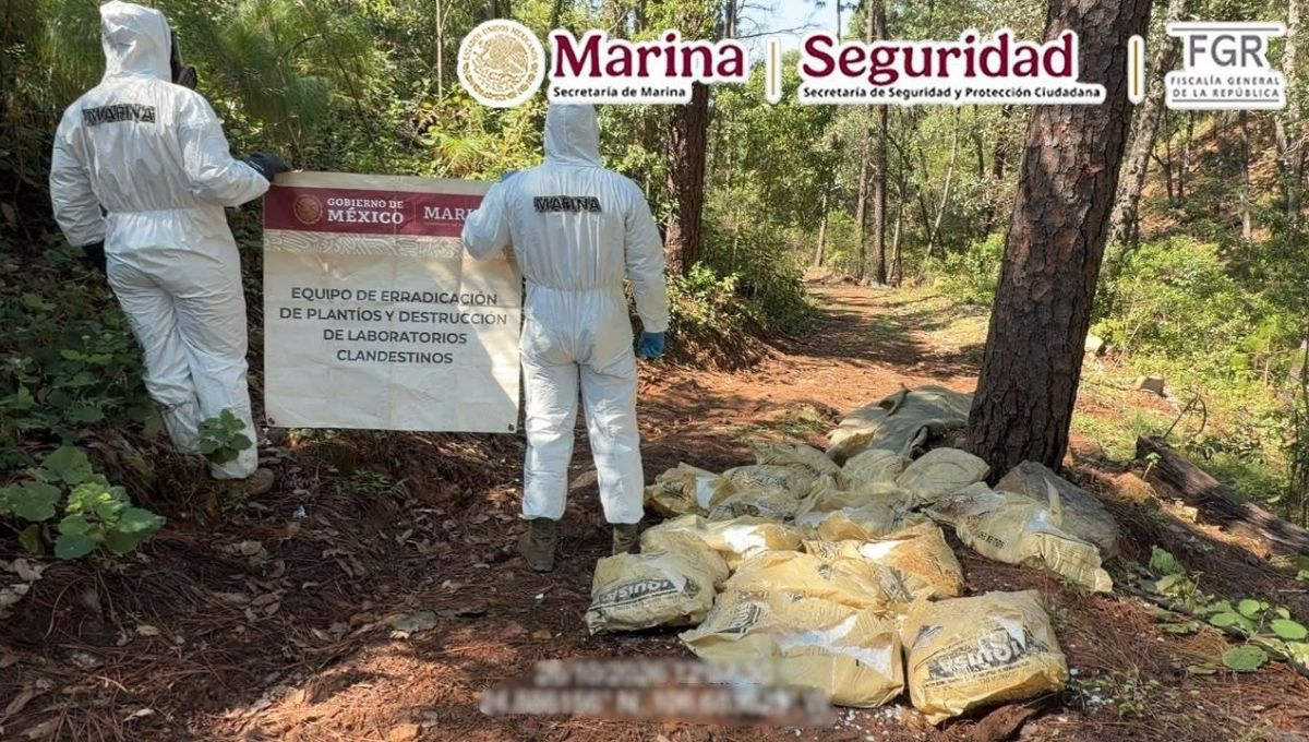El operativo forma parte de las acciones para combatir la fabricación de drogas sintéticas y evitar su distribución en territorio nacional