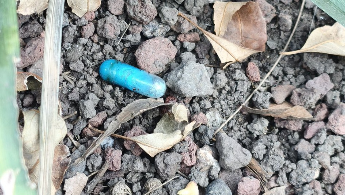Fiscalía de CDMX confirma usó de pesticida en comida envenenada en Parque España.