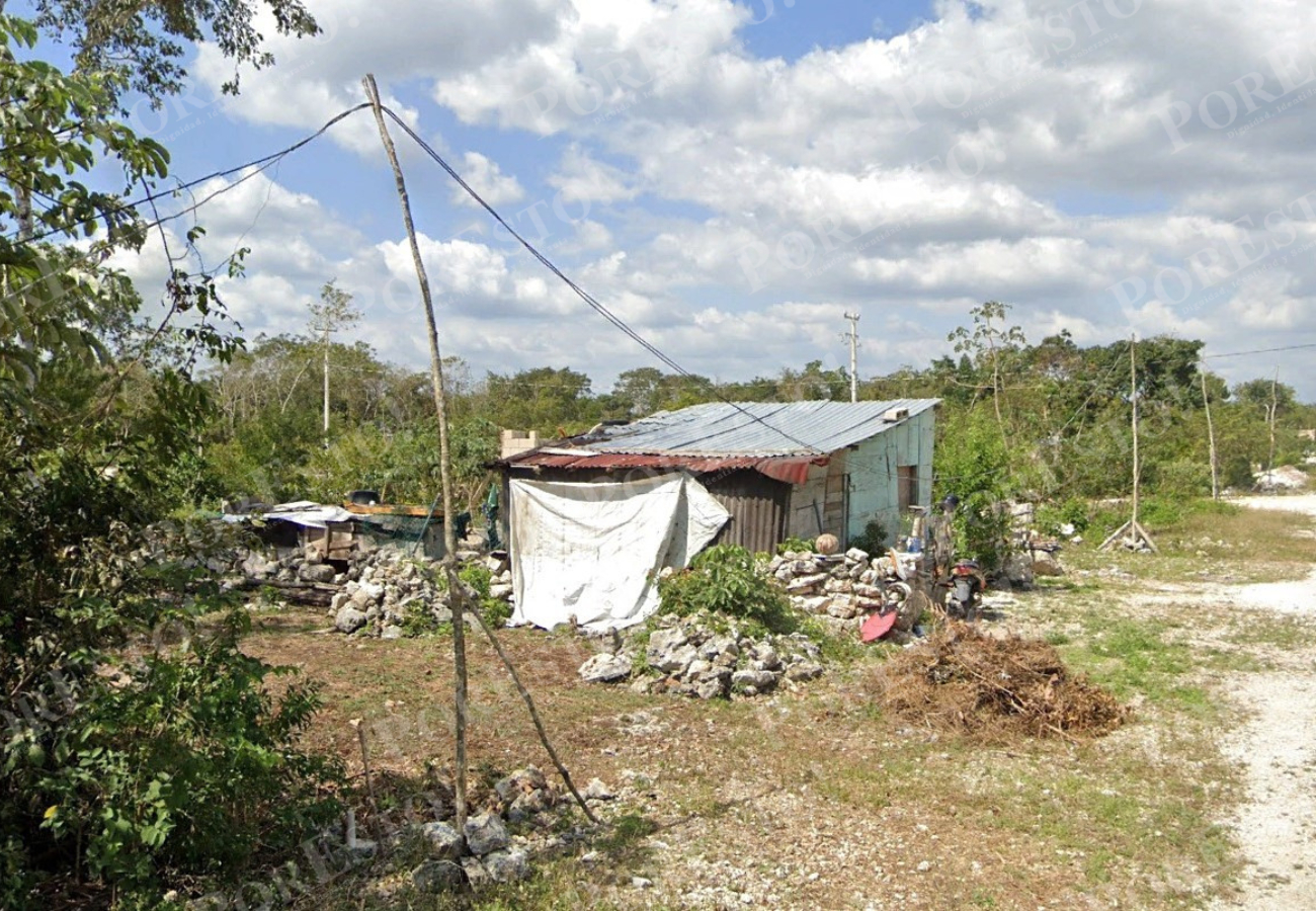 Debido a la precariedad económica, los habitantes viven en inmuebles improvisados con cartón, madera y láminas de zinc, incapaces de resistir el impacto de un huracán