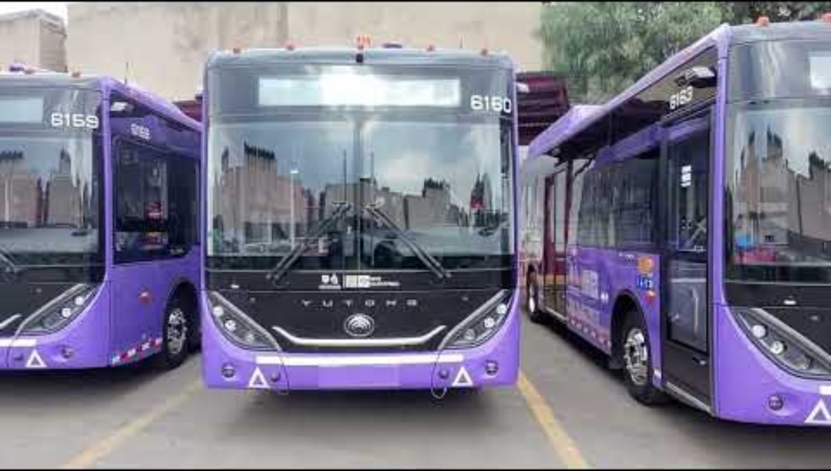 Gran Premio de la CDMX: Conoce rutas, horarios y costos del transporte.