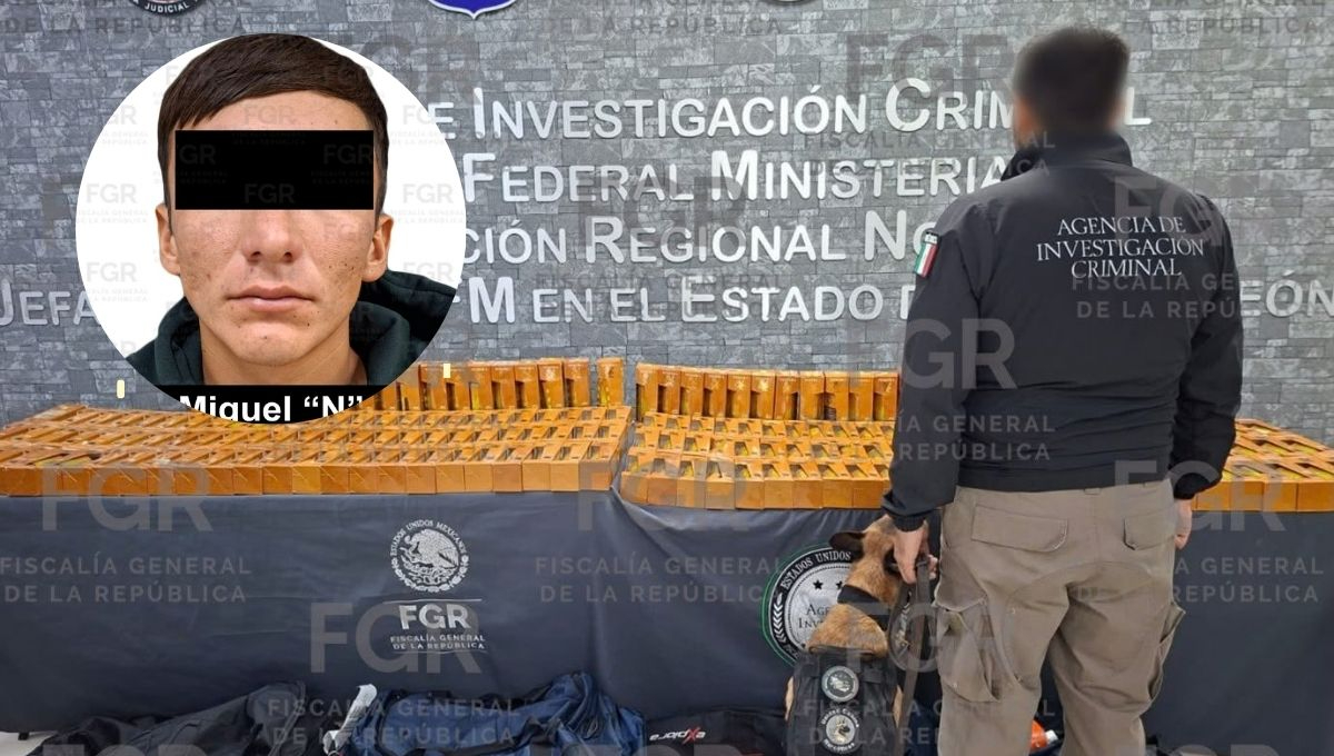 El hallazgo se produjo con apoyo de un binomio canino, utilizado durante las labores de inspección realizadas en la terminal aérea.