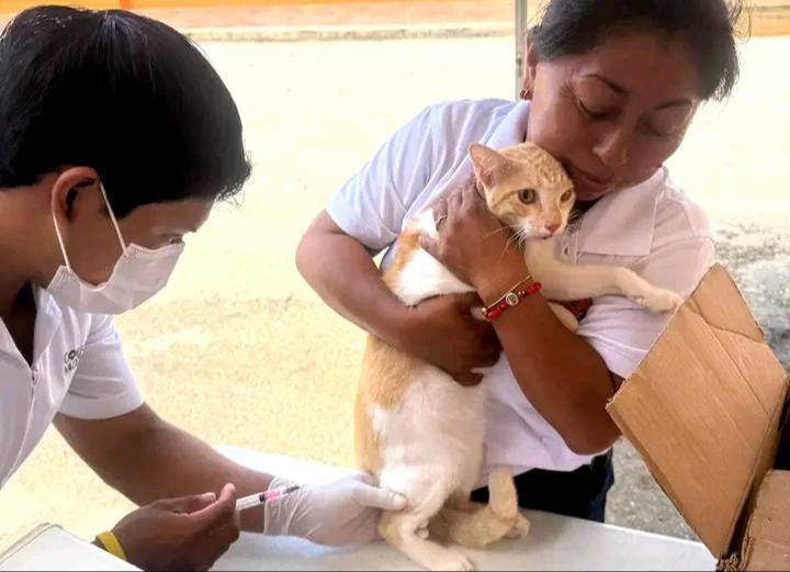 La jornada de salud animal se realizó en el marco de las actividades conmemorativas por el Día Mundial contra la Rabia.