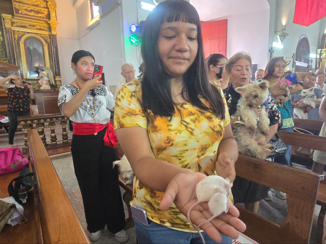 La parroquia de San Francisco celebró su tradicional bendición de animales en la capital campechana.
