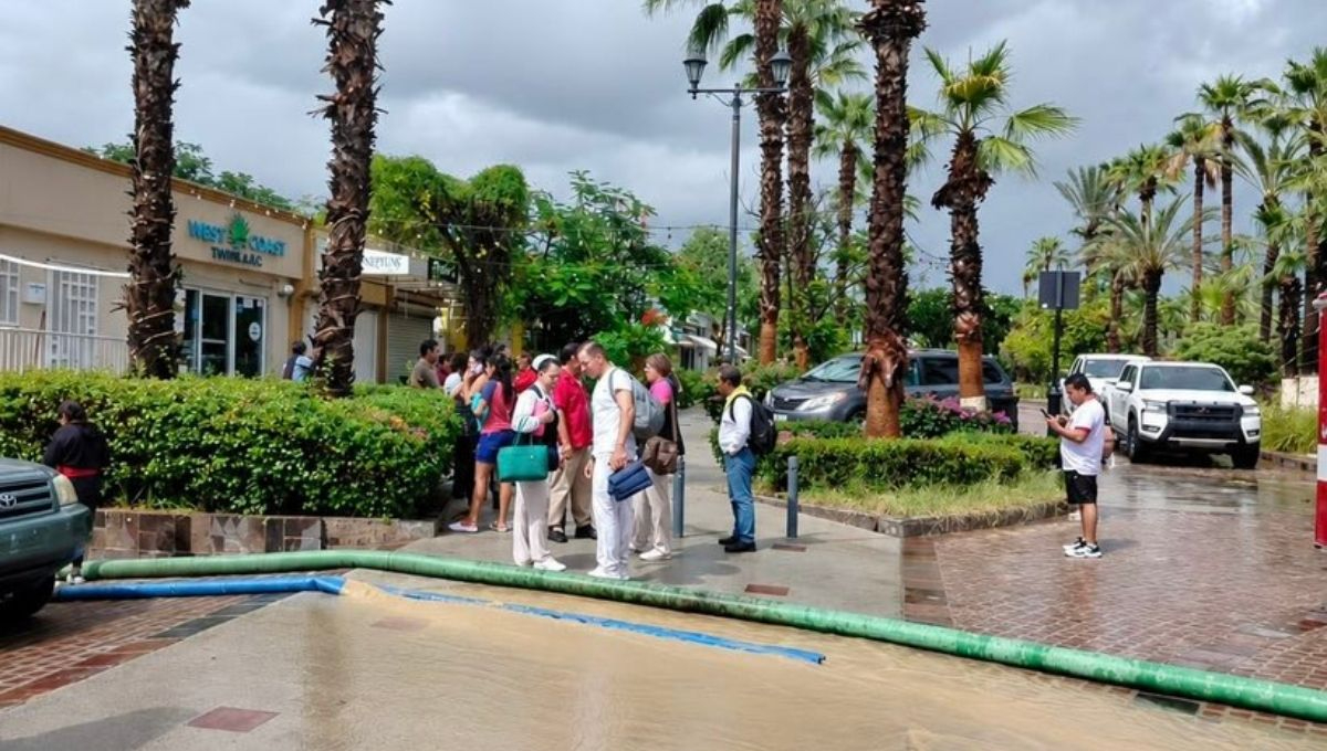 El instituto informará oportunamente sobre la reanudación de los servicios, una vez que existan condiciones para retomar la atención