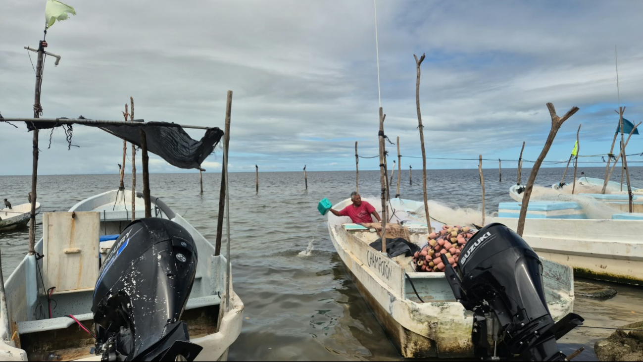 Las malas condiciones del clima por una baja presión paralizaron la pesca ribereña en el puerto de Champotón.