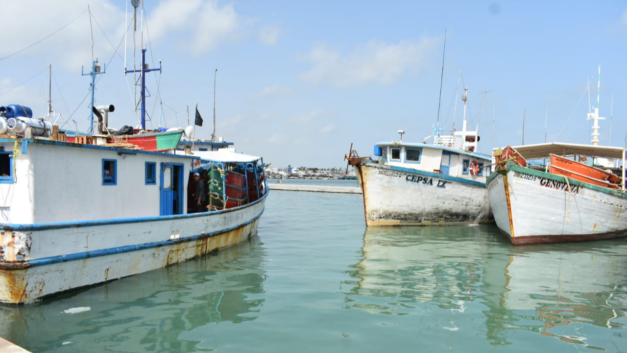 Alertan por presunto “huateo” de pulpo, mero y langosta en costas de Yucatán