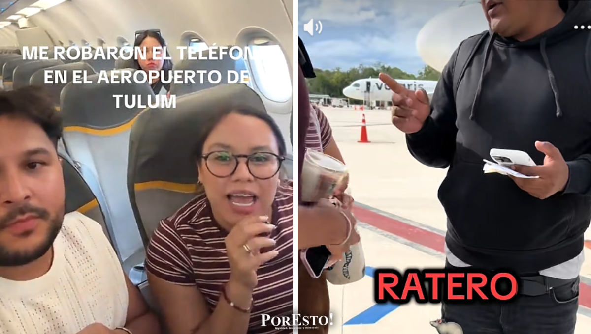 Campeche apuesta por reproducir pulpo y pepino de mar para evitar su desaparición