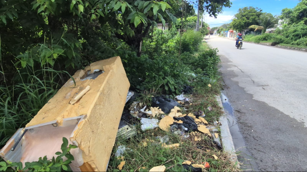 Maleza y basura convierten lote baldío de Champotón en foco de preocupación