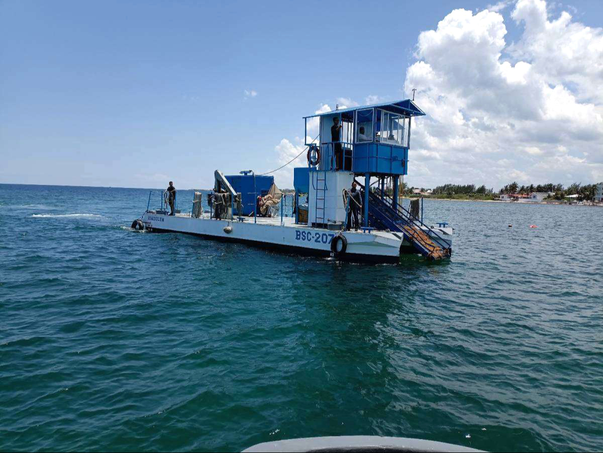 Tulum, Cancún y Mahahual, bajo la mira por el sargazo