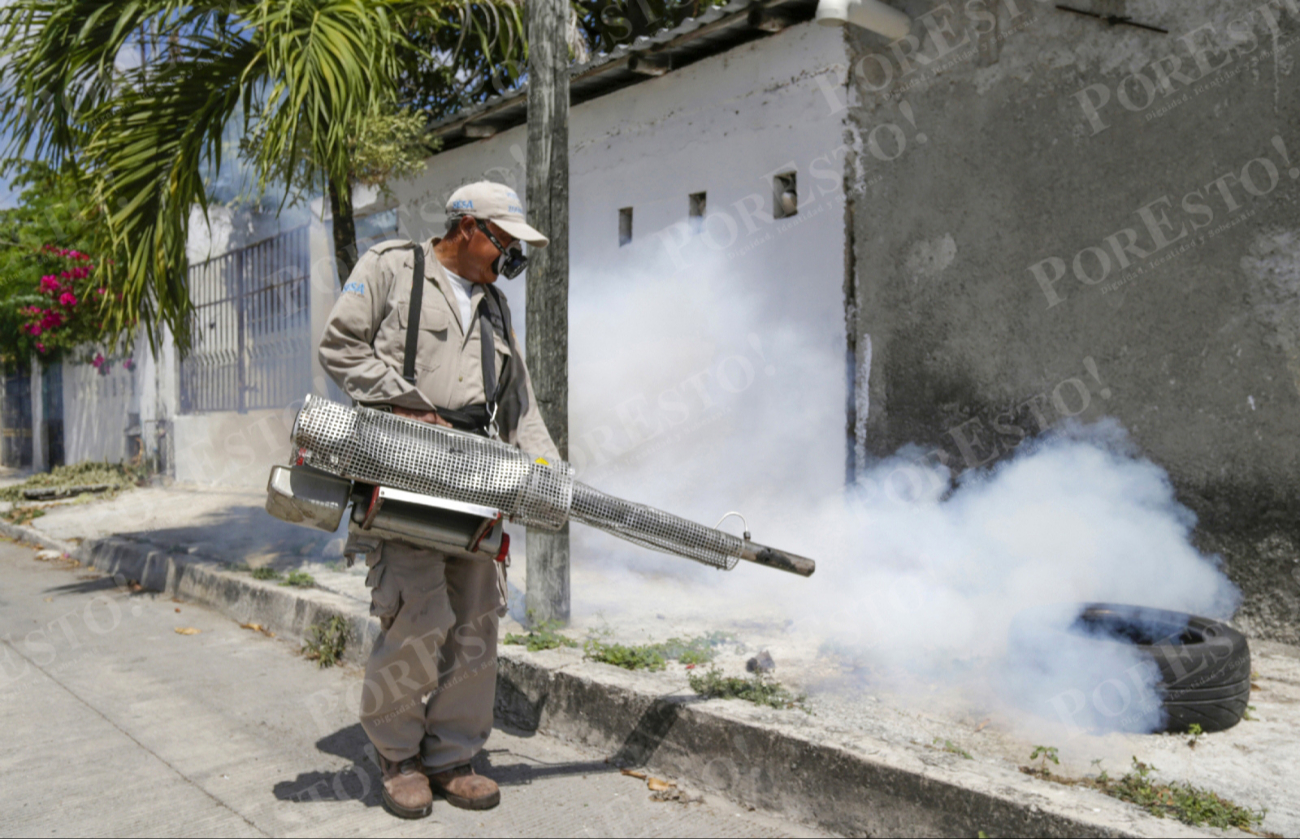 Brigadas de Vectores trabajan en los 11 municipios con nebulización, control larvario y eliminación de criaderos