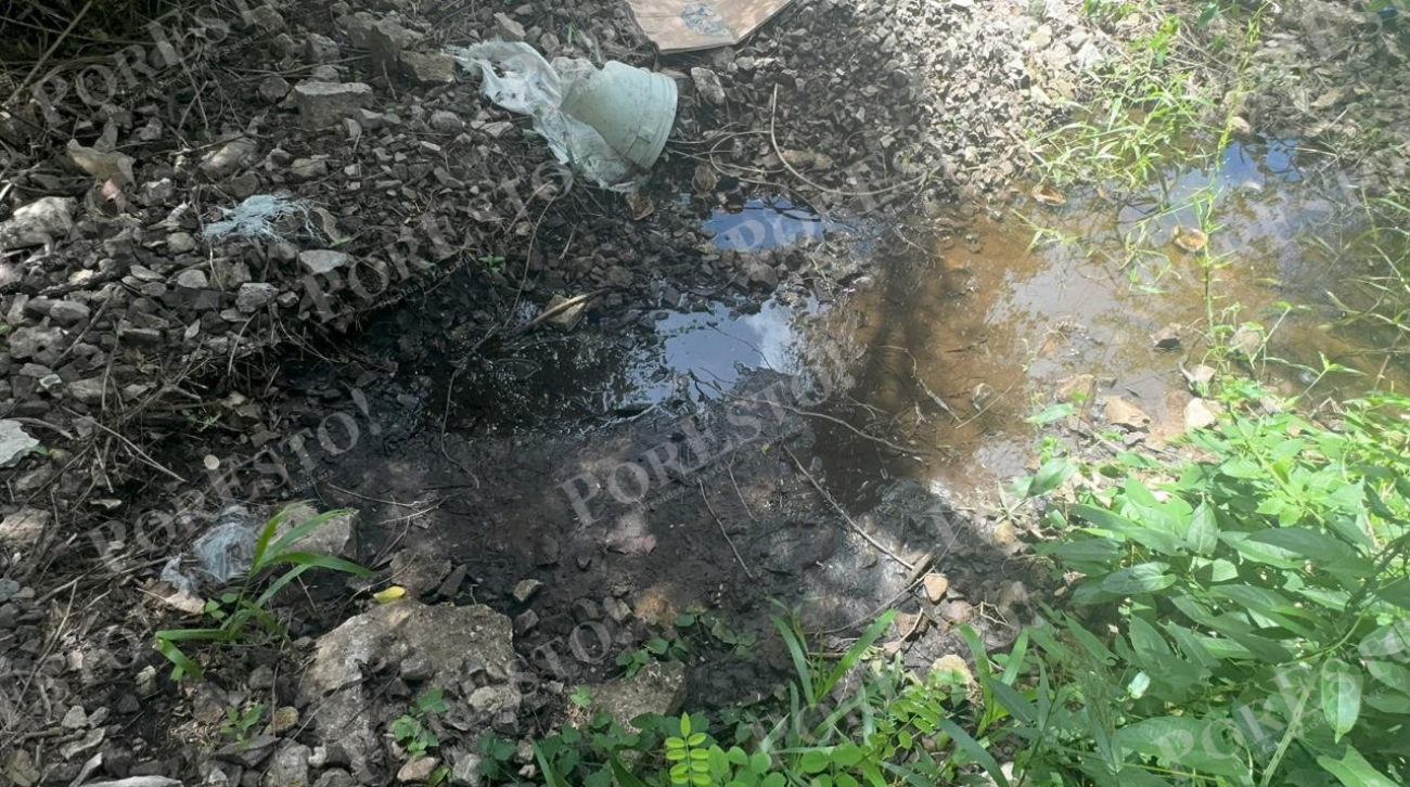 Habitantes pidieron apoyo a las autoridades debido a las molestias causadas por los malos olores