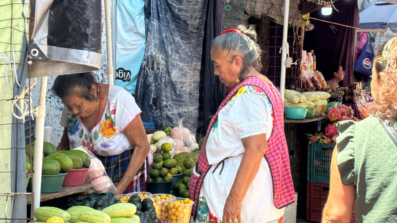 Aumenta el número de personas que hablan maya en Yucatán
