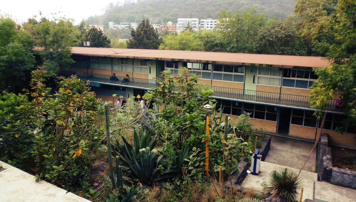 Clases en el CCH Sur de la UNAM quedan suspendidas por vandalización.
