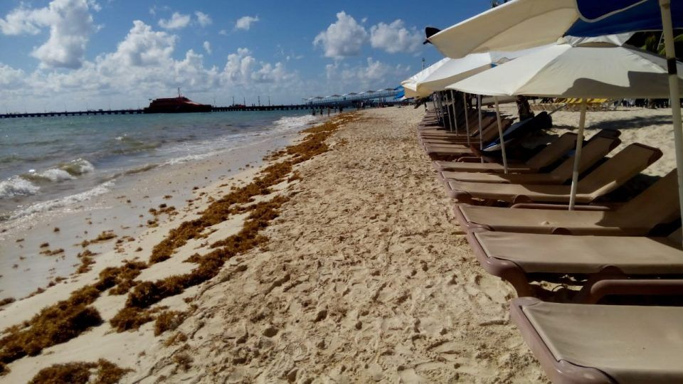 Detectaron opacidad en los fideicomisos municipales que administran