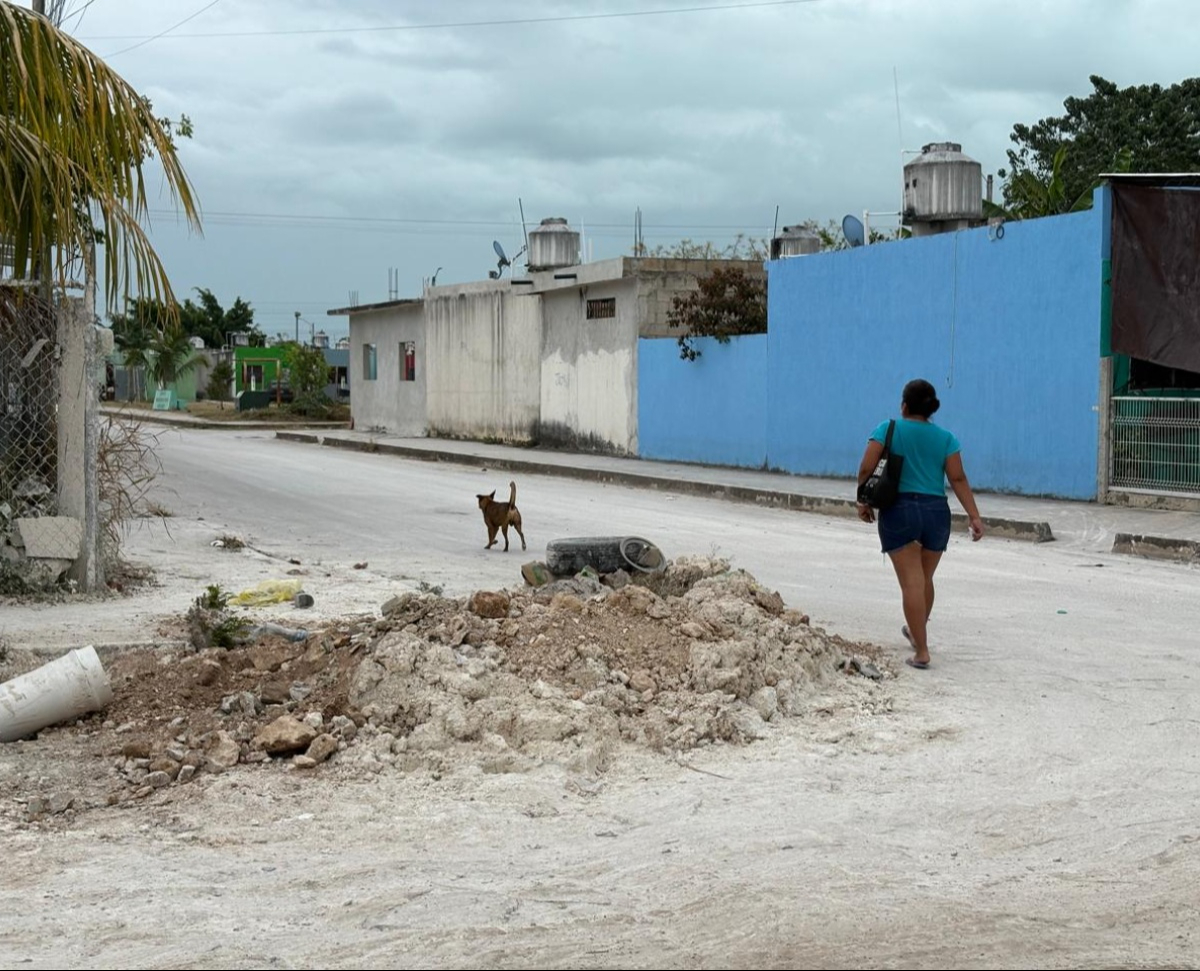 El resultado de la indiferencia ahora es un tramo casi inaccesible.