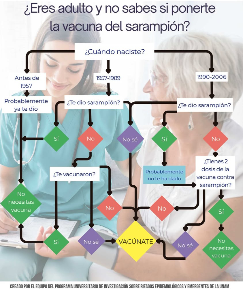 Esta gráfica ilustrativa fue elaborada por investigadores de la UNAM.