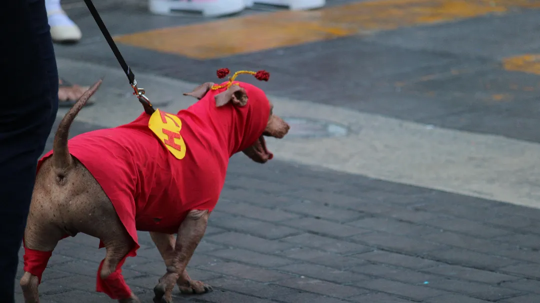 Desfile Infantil del Carnaval de Mérida 2026: Sigue la transmisión EN VIVO desde el Centro Histórico