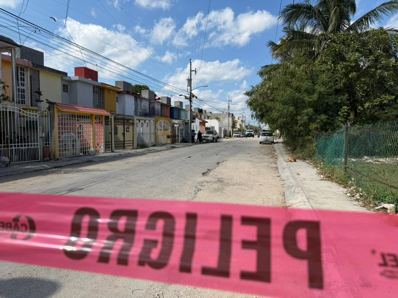 En el domicilio se ubicaron armas de fuego, así como manchas de sangre ya seca, las cuales al parecer corresponden a otras personas que también fueron víctimas