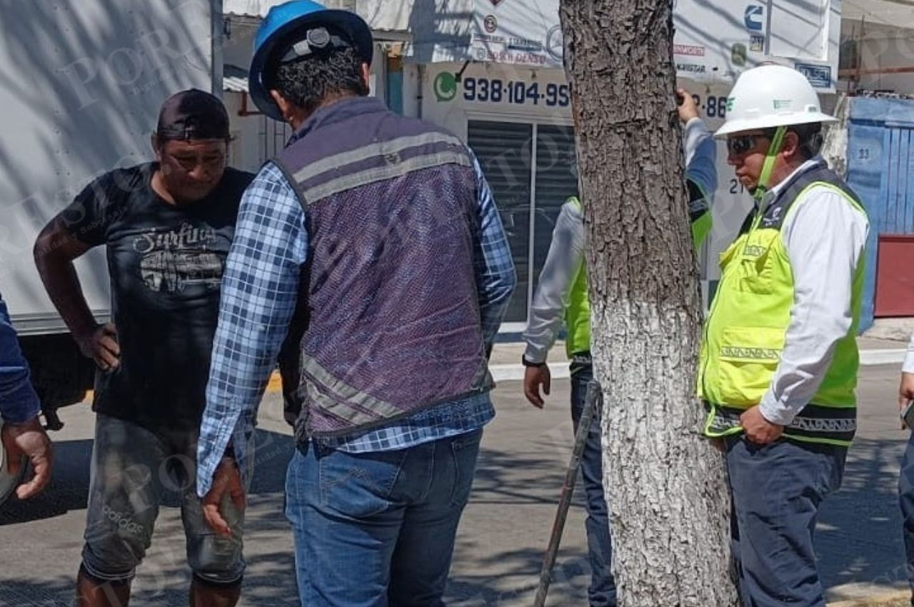 CFE ejecuta obras clave en Atasta mientras licita subestación eléctrica