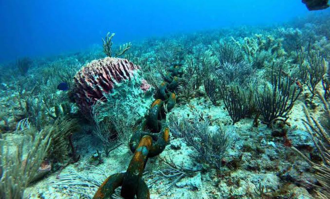 La afectación se concentra en un corredor que forma parte del Sistema Arrecifal Mesoamericano