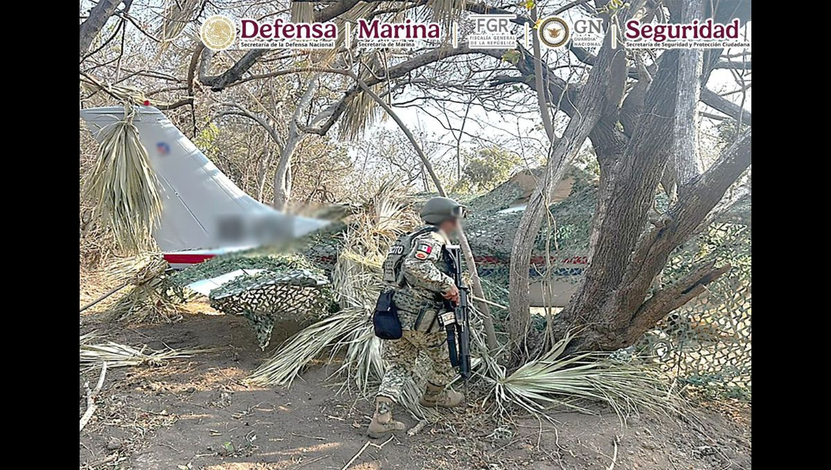 Las autoridades han reiterado que este tipo de operativos forman parte de la estrategia nacional de seguridad