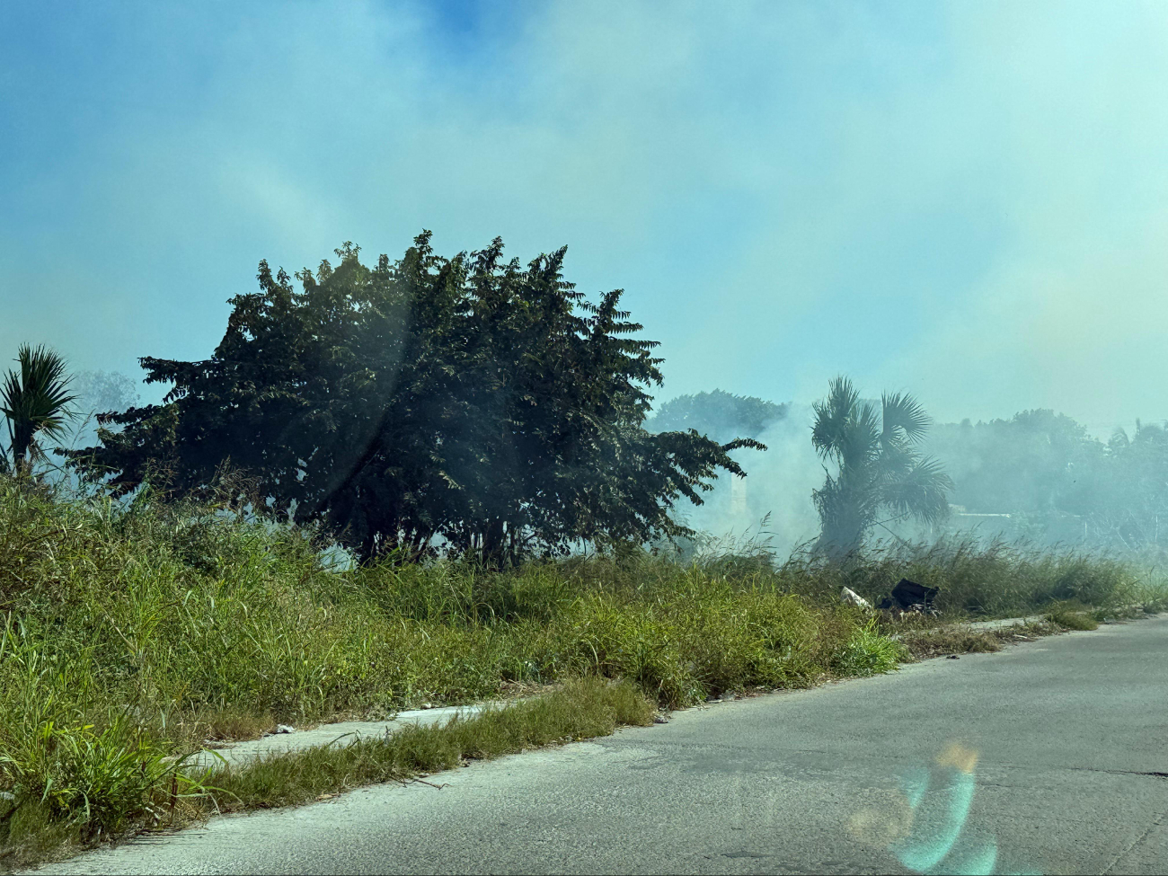 Protección Civil acudió tras el reporte ciudadano.