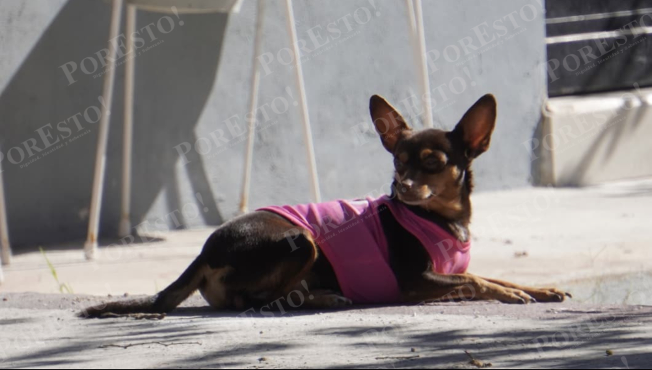 El frente frío 32 “Sac Nicté” provocó temperaturas históricas de hasta 5 °C en Campeche.