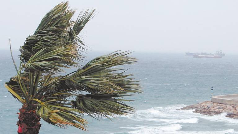 El oleaje de la bahía fue muy fuerte y el agua se tornó de un color más oscuro