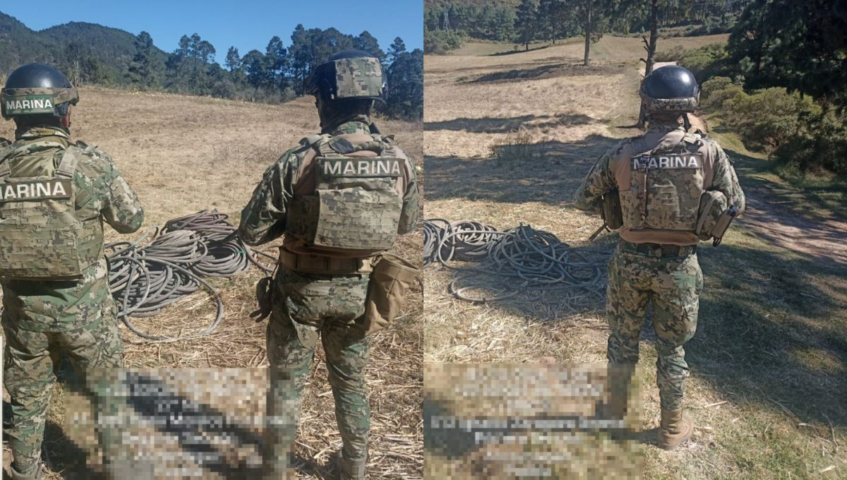 La Secretaría de Marina reiteró que continuará con recorridos de vigilancia e inspección en zonas identificadas con incidencia de este delito