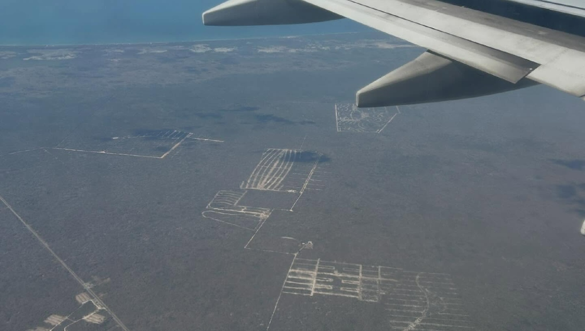 Los megaproyectos inmobiliarios amenazan el hábitat de especies en peligro de extinción