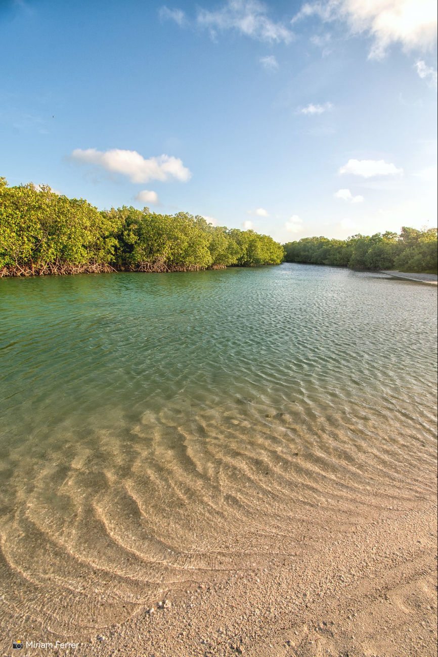 Playa tranquila dentro de la Reserva de la Biósfera Los Petenes.