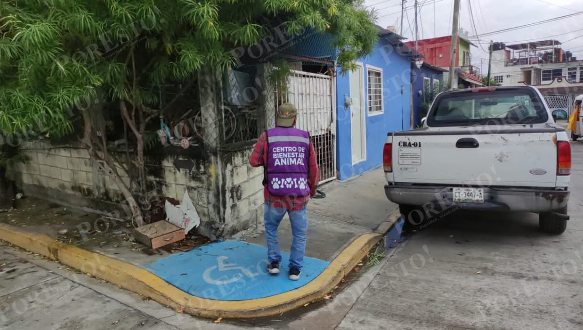 Aumentan reportes por maltrato y omisión de cuidados durante frentes fríos.