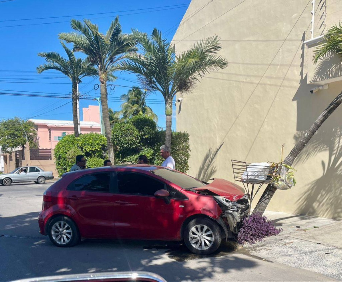 Un auto marca Kia terminó encima de la banqueta y derribó una palmera.