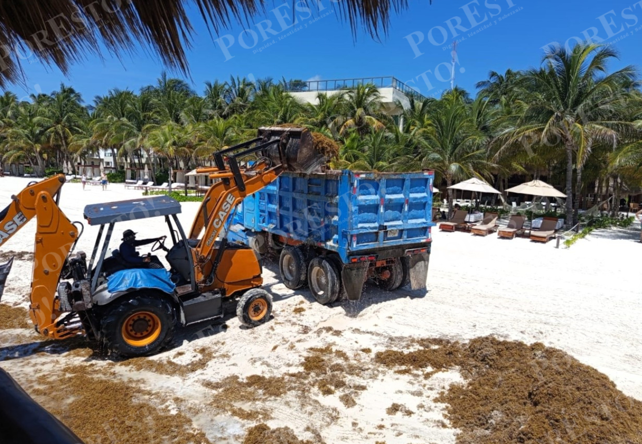 Autoridades estatales y municipales no han determinado el destino final del alga