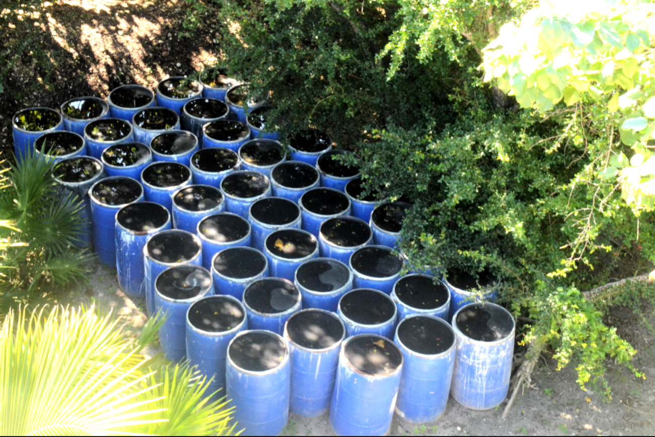 La entidad está en  la sexta posición  nacional de personas  infectadas con el mal  transmitido por el  mosco vector