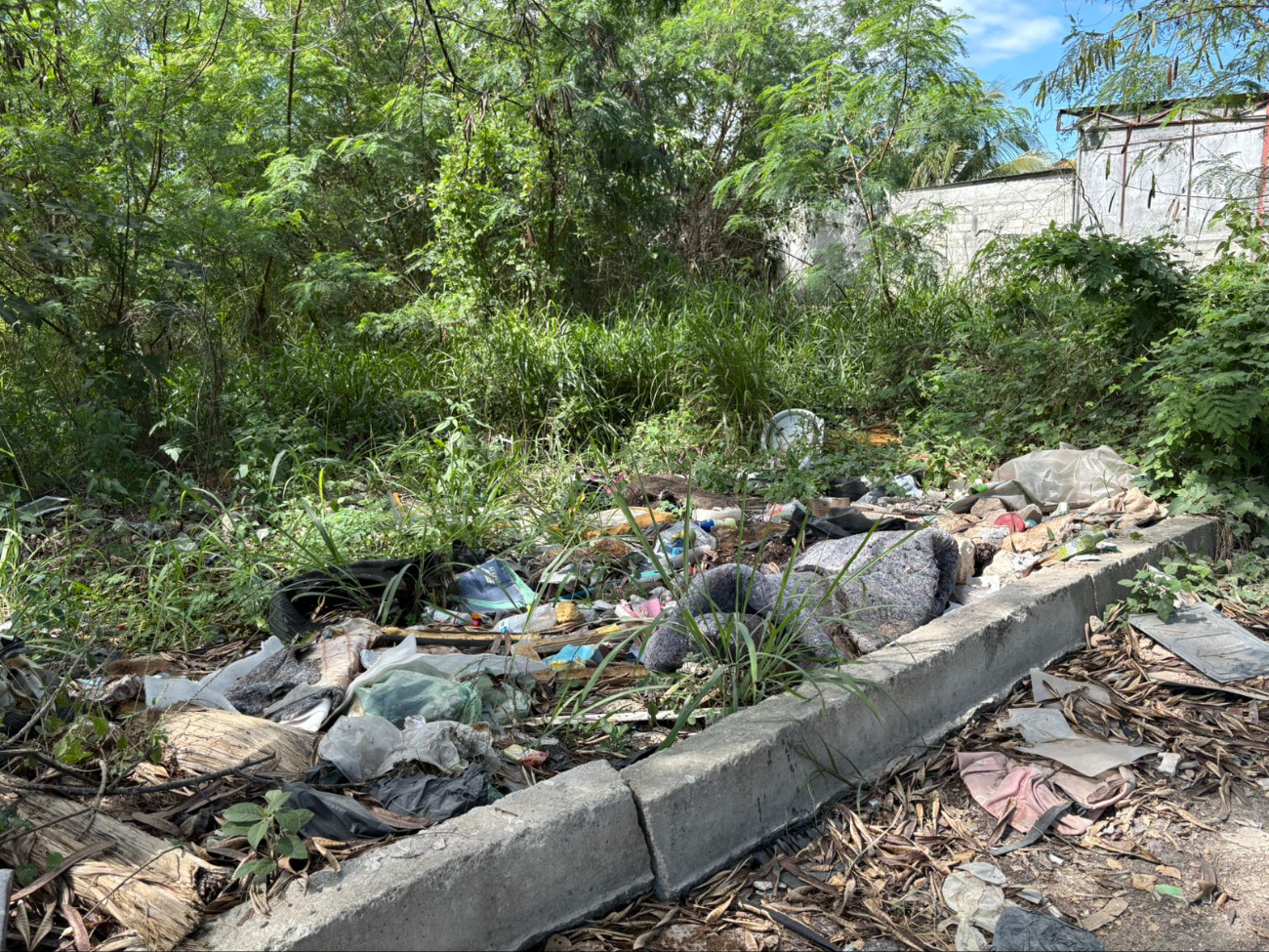 Vecinos alertan que el sitio podría convertirse en un foco de infección