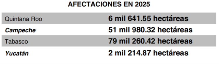 Incendios forestales ponen en riesgo la vegetación campechana