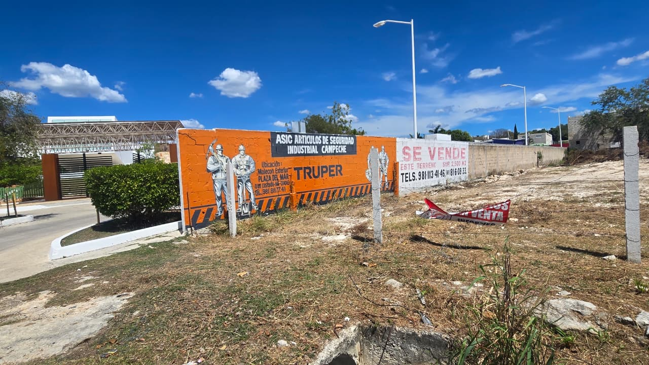 La presidenta de AMPI en Campeche, Claudia Reyes Aldama, recomendó firmar contratos para evitar conflictos legales.