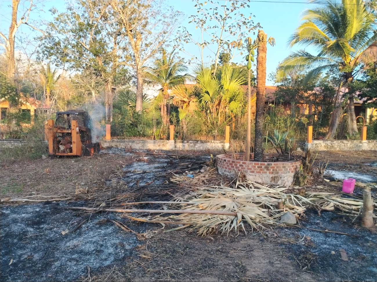 El 66 por ciento de los incendios forestales son provocados por actividades humanas