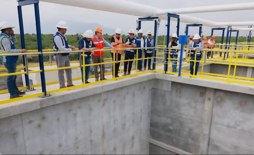 Buscan que en convocatorias científicas se prioricen proyectos sobre plantas tratadoras.