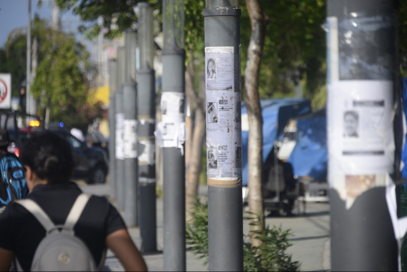 La titular del organismo dio a conocer que en Playa del Carmen se activaron jornadas de rastreo y abrieron una convocatoria para contratar a un coordinador que agilice las respuestas